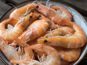 Can You Refreeze Shrimp? 7 Very Dangerous Risks!