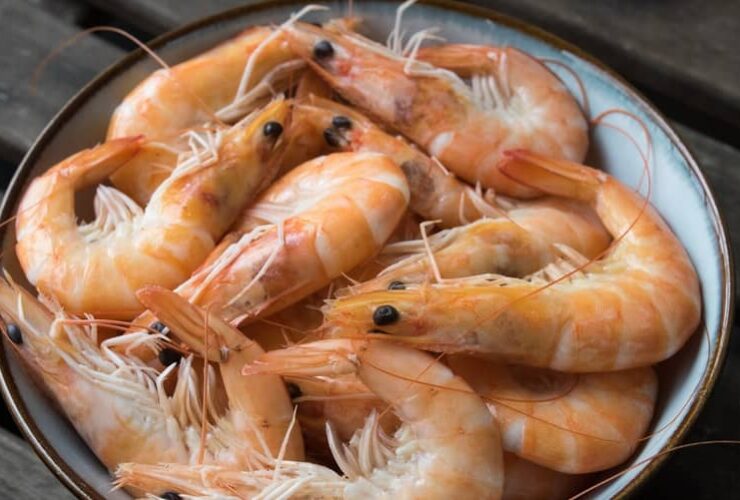 Can You Refreeze Shrimp? 7 Very Dangerous Risks!