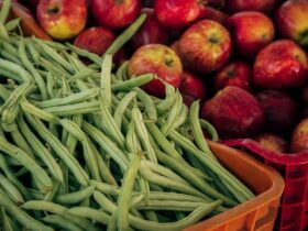 Can You Eat Raw Green Beans? Are They Toxic?