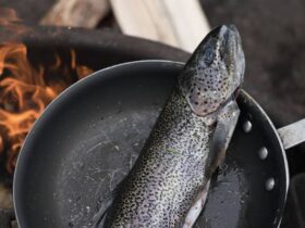 Do You Eat The Skin on Salmon With Scales? 7 Benefits