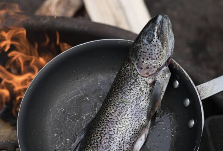 Do You Eat The Skin on Salmon With Scales? 7 Benefits