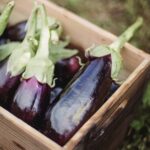 How to Tell if Eggplant is Bad? 15 Tips for Inside and Outside