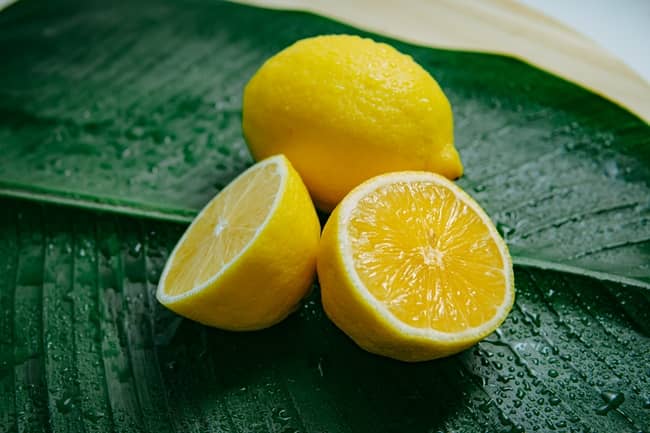 How Long Does Fresh Squeezed Lemon Juice Last At Room Temperature