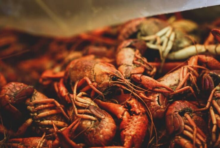7 Best Sausage for Seafood Boil: Our Top Nº1 Selection