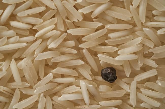 Long and short grain rice