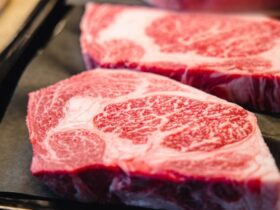 7 Best Meats to Sous Vide: Meat, Chicken and Fish