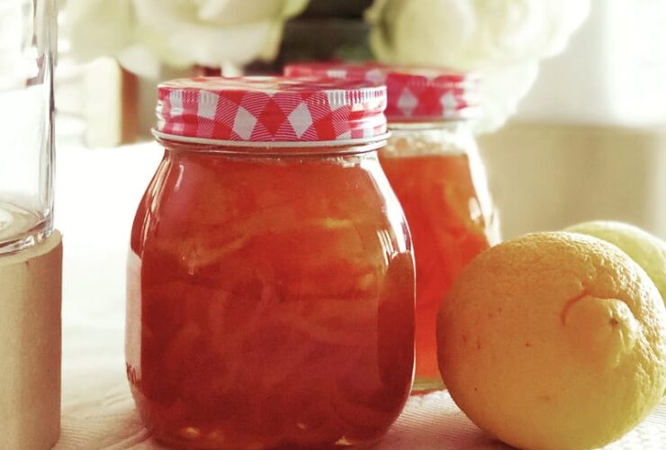 Jalapeno Jelly Recipe From Pioneer Woman