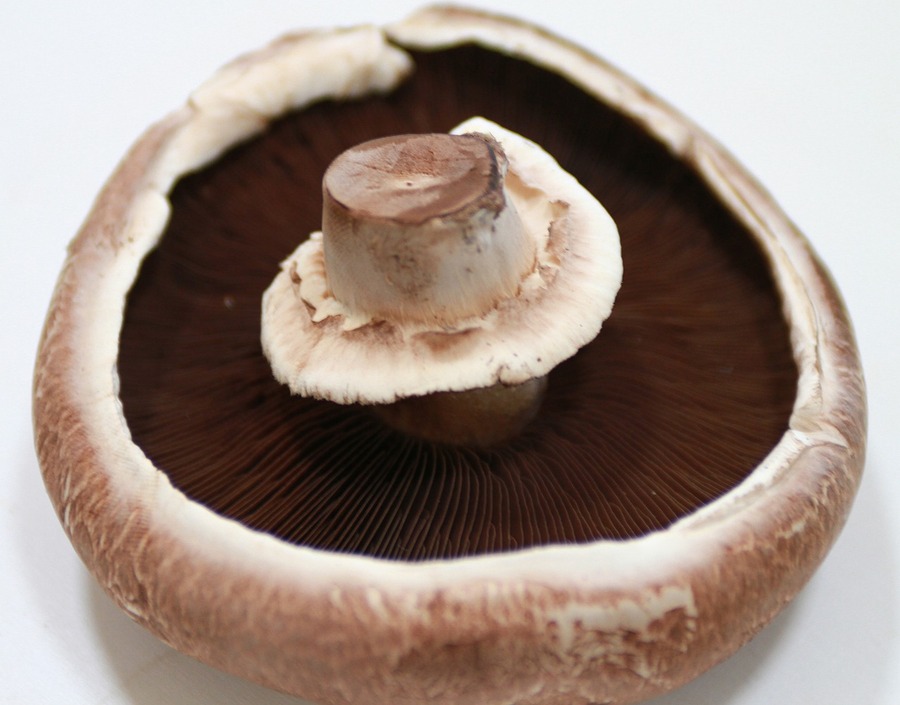 Portobello mushrooms cooking time and temperature