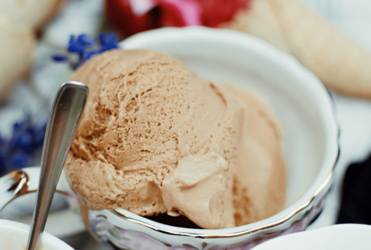 Oster Ice Cream Maker Recipe: Vanilla Ice Cream