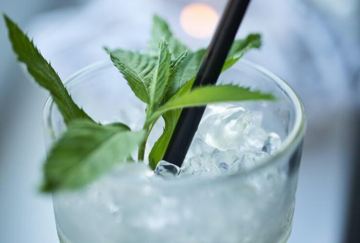 White Tea Shot Recipe (with Vodka)